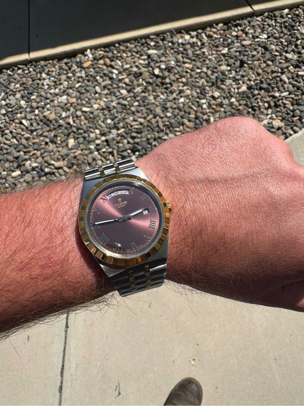 VFS Tudor Royal Two-Tone Watch with Brown Dial and Gold Bezel